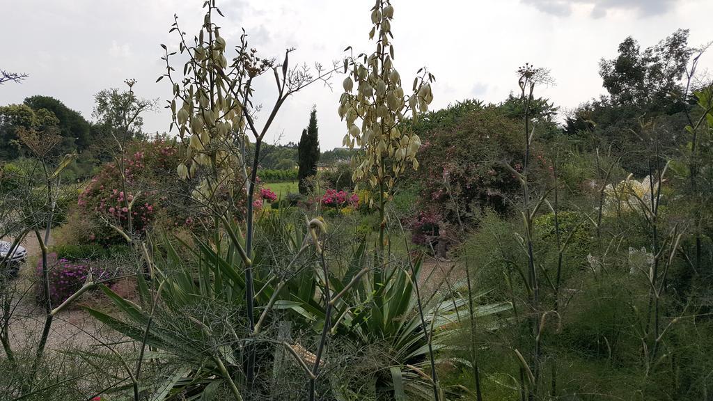 לינה וארוחת בוקר Maen Roch Manoir De La Branche מראה חיצוני תמונה